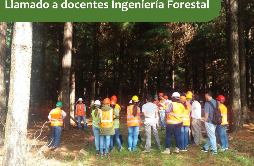 Llamados para ocupar cargos docentes para la carrera Ingeniería Forestal