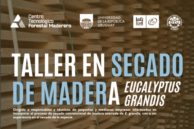 Taller en Secado de Madera en Eucalyptus Grandis