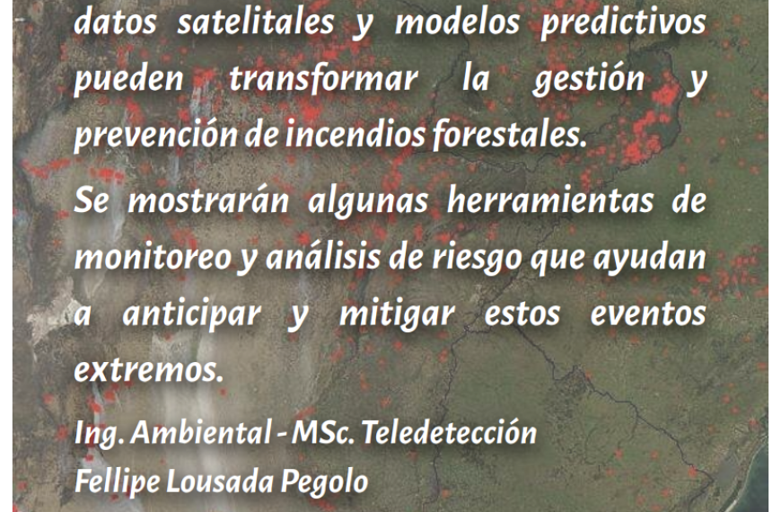 Incendios Forestales desde la perspectiva satelital